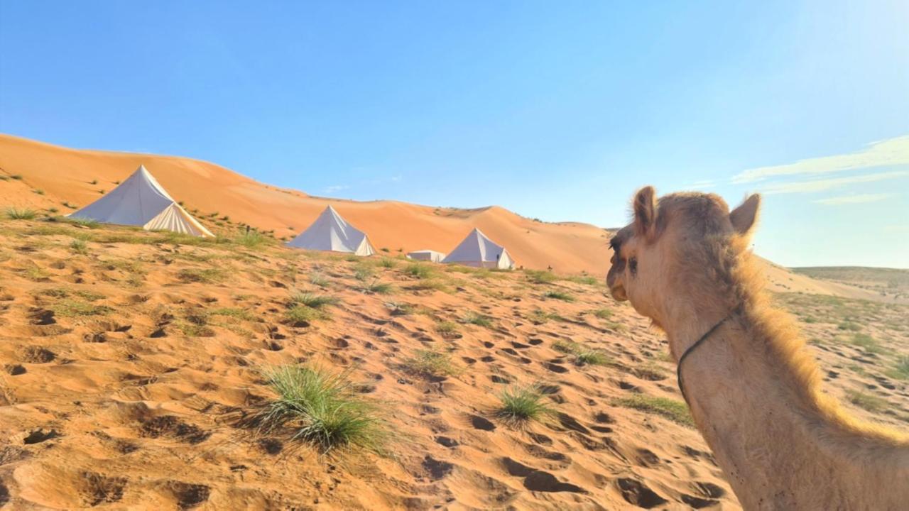Desert Moments Glamping - Full Privacy Bidiya Exterior photo